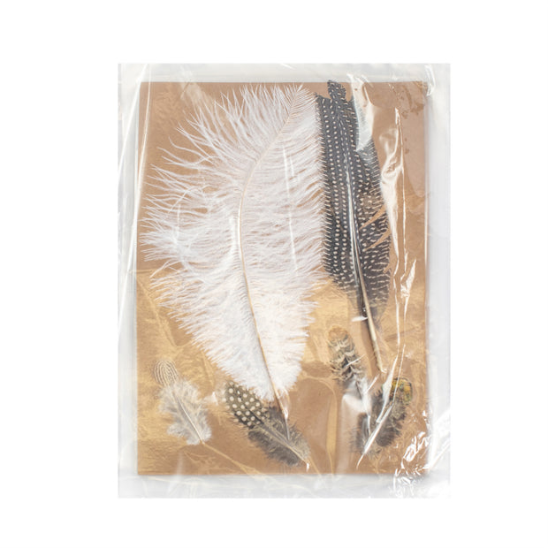 Plumes Feather Collection