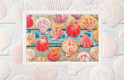Scallop Shells Birthday Greeting Card