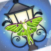 Luna Moth Quilling Card