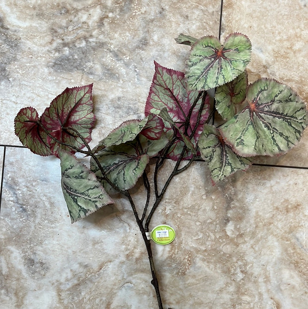 30" Begonia Leaf Spray Light Green