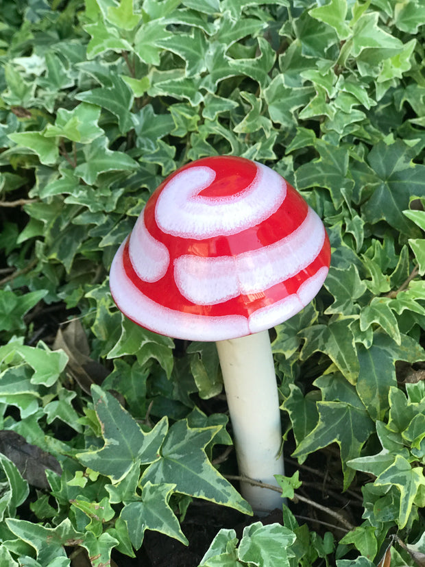 Red White Stripe